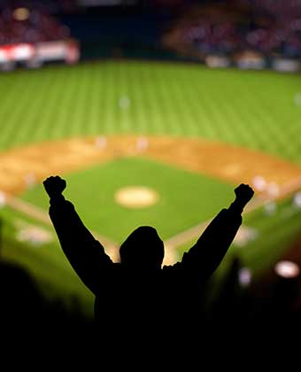 crowd at baseball game